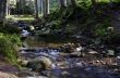 Flowing water of Carpathian mountain stream 