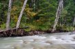 Flowing water of Carpathian mountain stream 
