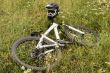Bicycle in the grass