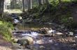Cascade falls over mossy rocks 