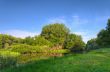 Landscape Forest Lake