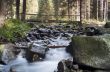 Flowing water of Carpathian mountain stream 