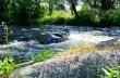 Flowing water of Carpathian mountain stream 