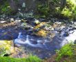 Flowing water of Carpathian mountain stream