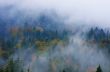 Foggy summer morning in the mountains. Carpathian, Ukraine,