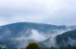 Foggy summer morning in the mountains. Carpathian, Ukraine, 