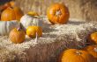 Fresh Orange Pumpkins and Hay in Rustic Fall Setting