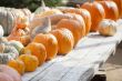 Fresh Orange Pumpkins and Hay in Rustic Fall Setting