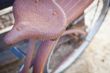 Abstract of Old Rusty Antique Bicycle Seat
