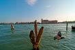 Venice Italy pittoresque view
