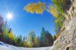 autumn landscape
