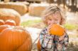 Little Boy Sitting and Holding His Pumpkin at Pumpkin Patch
