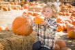 Little Boy Sitting and Holding His Pumpkin at Pumpkin Patch