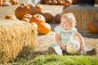 Adorable Baby Girl Holding a Pumpkin at the Pumpkin Patch