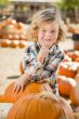 Little Boy Gives Thumbs Up  at Pumpkin Patch