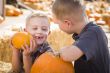 Two Boys at the Pumpkin Patch Talking and Having Fun