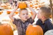 Two Boys at the Pumpkin Patch Talking and Having Fun