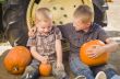 Two Boys Holding Pumpkins Talking and Sitting Against Tractor Ti
