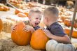 Two Boys at the Pumpkin Patch Talking and Having Fun