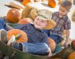 Two Little Boys Playing in Wheelbarrow at the Pumpkin Patch
