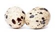 Quail eggs