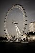 London Eye by the River Thames