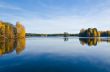 Fall reflections in water