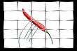 red chili pepper on a fork