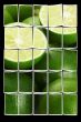 lime
