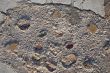 Coins on the pavement.