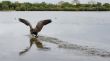 Landing on water