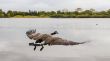 Flight