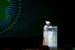 Dr. Nkosazana Dlamini-Zuma delivers a speech