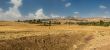 Suba Landscape
