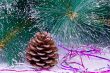 Decoration for the Christmas tree is a pine cone.