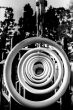 Concentric Rings