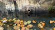 Small pond