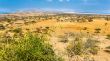Abjatta-Shalla national park