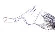 Liquid motion