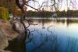 Zoo lake