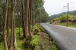 Mount Entoto Road