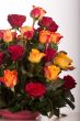 Rose bouquet