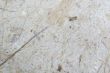 Handmade Paper Series 18