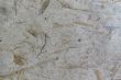 Handmade Paper Series 20