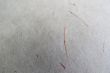 Handmade Paper Series 36