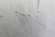 Handmade Paper Series 59