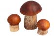 Three beautiful mushroom Ð¿Ð¾Ð´Ð¾ÑÐ¸Ð½Ð¾Ð²Ð¸ÐºÐ° on a white bac