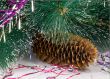 Decoration for the Christmas tree is a pine cone.