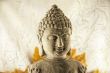 Budda Head