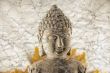 Budda Head